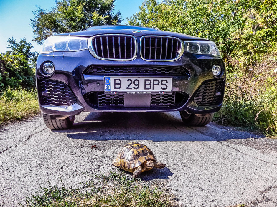 Am facut 1200 km prin Dobrogea si am aflat ca Romania e frumoasa