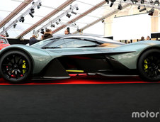 AM-RB 001