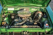AMC Hornet X Gucci Sportabout de vanzare