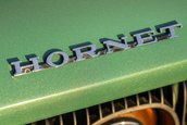AMC Hornet X Gucci Sportabout de vanzare
