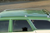 AMC Hornet X Gucci Sportabout de vanzare