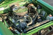 AMC Hornet X Gucci Sportabout de vanzare
