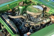 AMC Hornet X Gucci Sportabout de vanzare