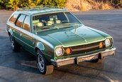 AMC Hornet X Gucci Sportabout de vanzare