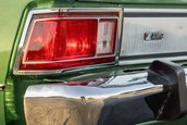 AMC Hornet X Gucci Sportabout de vanzare
