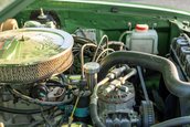 AMC Hornet X Gucci Sportabout de vanzare