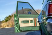 AMC Hornet X Gucci Sportabout de vanzare