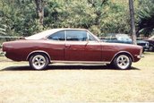 Americane v8