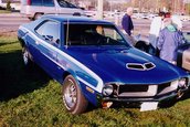 Americane v8