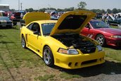 Americane v8