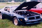 Americane v8