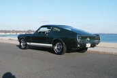 Americane v8