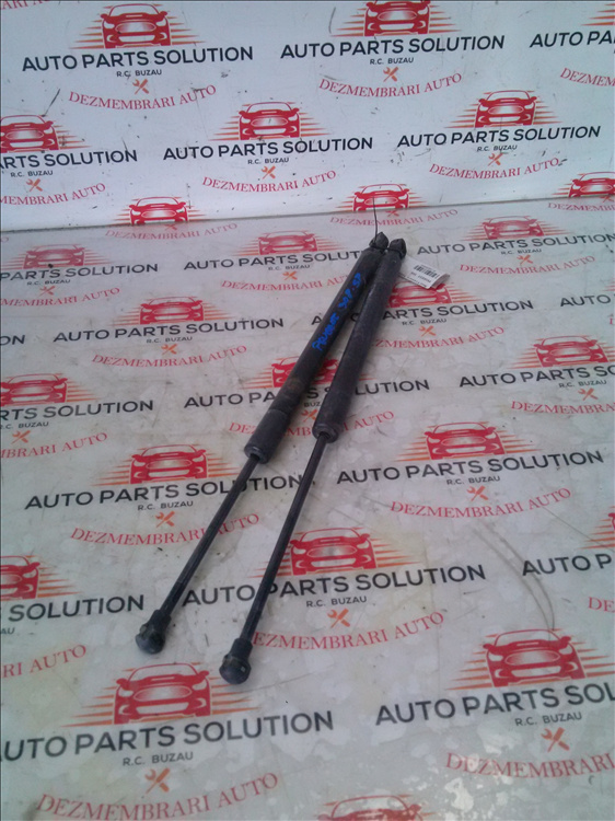 Amortizoare haion PEUGEOT 308