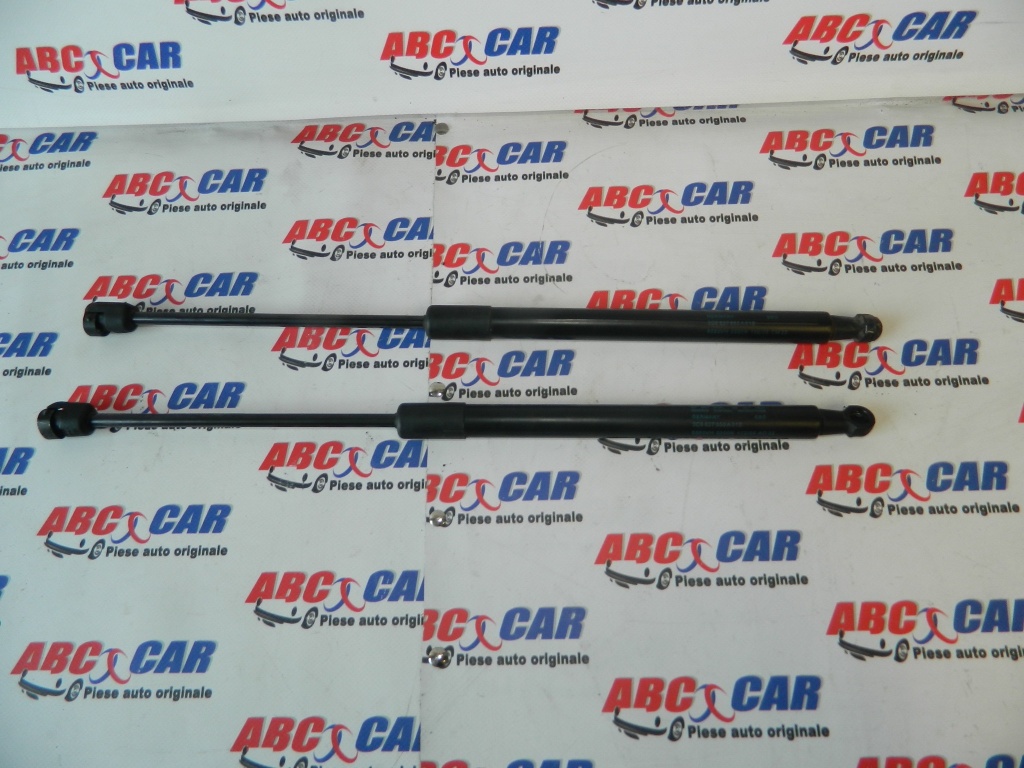 Amortizoare haion VW Passat B6