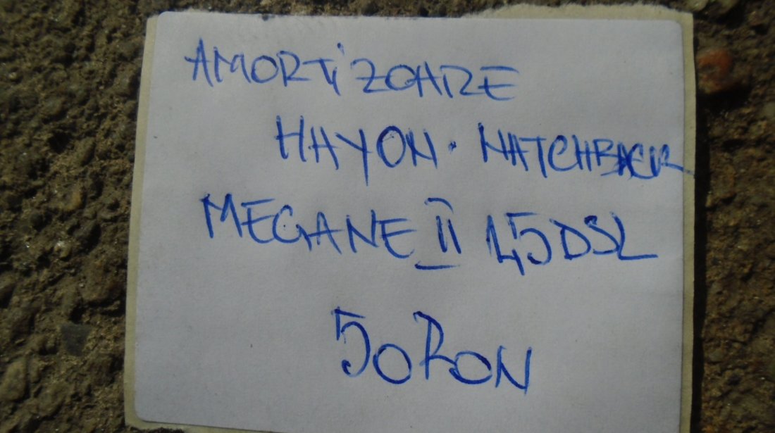 Amortizoare hayon renault megane 2 1.5dsl hatchback