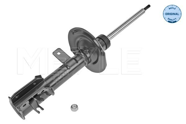 Amortizor Axa fata stanga (2266230011 MEYLE) FIAT