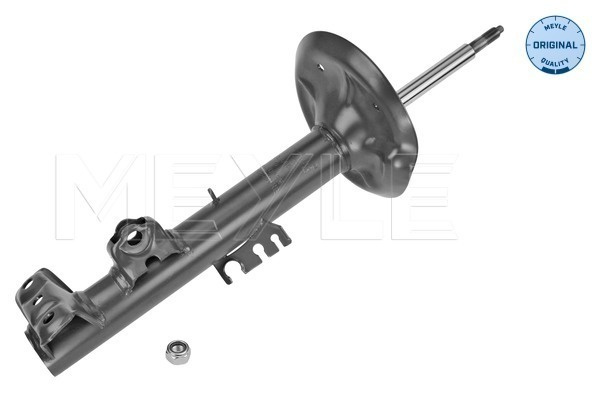 Amortizor Axa fata stanga (3266230052 MEYLE) BMW