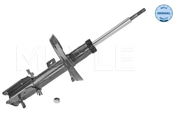 Amortizor Axa fata stanga (40266230019 MEYLE) Citroen,FIAT,PEUGEOT