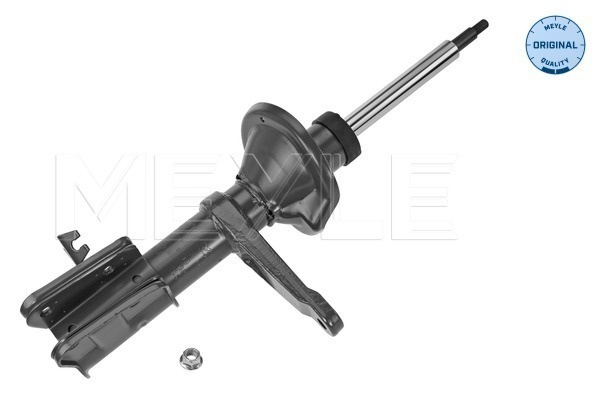 Amortizor Axa fata stanga (53266230001 MEYLE) LAND ROVER