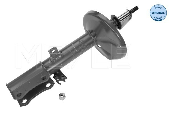 Amortizor Axa spate dreapta (30267230010 MEYLE) TOYOTA