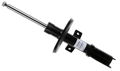 Amortizor Boge Citroën 32-AQ6-A