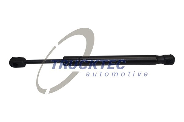 Amortizor capota (0863032 TRUCKTEC) BMW