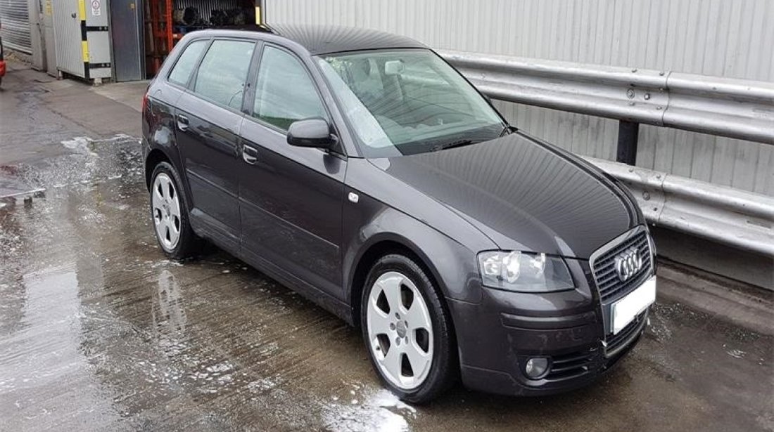 Amortizor capota Audi A3 8P 2006 Hatchback 2.0 TDi