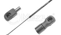 Amortizor capota AUDI A6 (4F2, C6) (2004 - 2011) M...