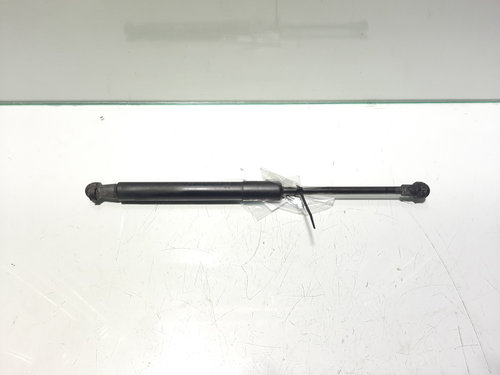 Amortizor capota fata, cod 7008745, Bmw 5 Touring (E61)