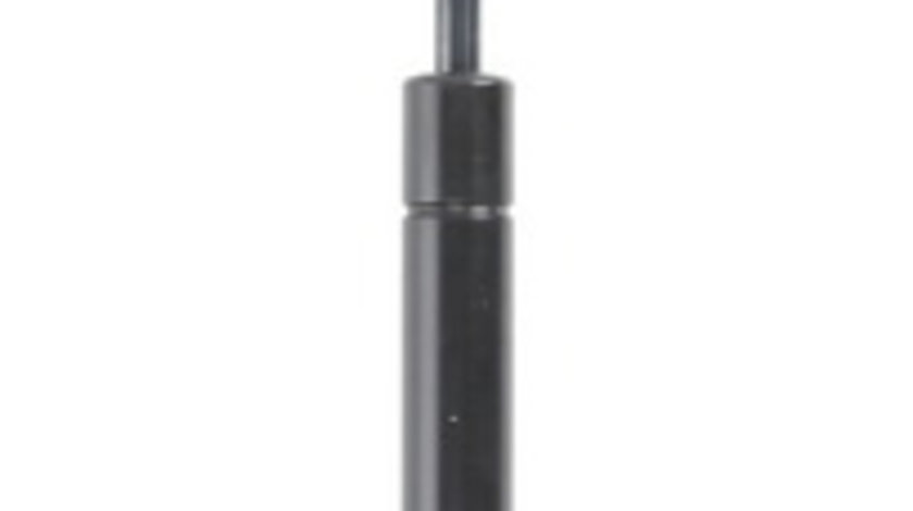 Amortizor capota fata stanga MERCEDES dreapta (W251, V251) 2005-2014