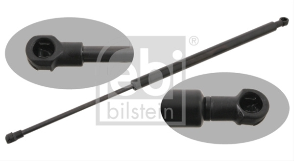 Amortizor Capota Febi Bilstein Lexus 29285