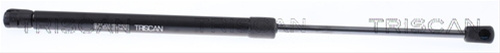 Amortizor Capota Triscan Audi 8710 29151