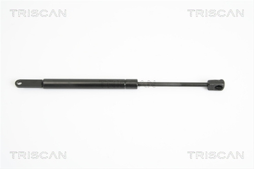 Amortizor Capota Triscan Bmw 8710 11108