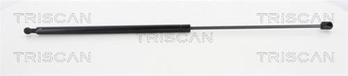 Amortizor Capota Triscan Bmw 8710 11120