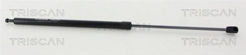 Amortizor Capota Triscan Ford 8710 16105