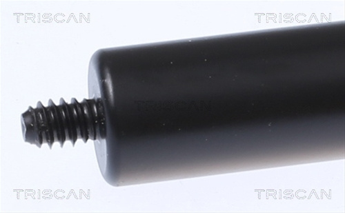 Amortizor Capota Triscan Mercedes-Benz 8710 23134