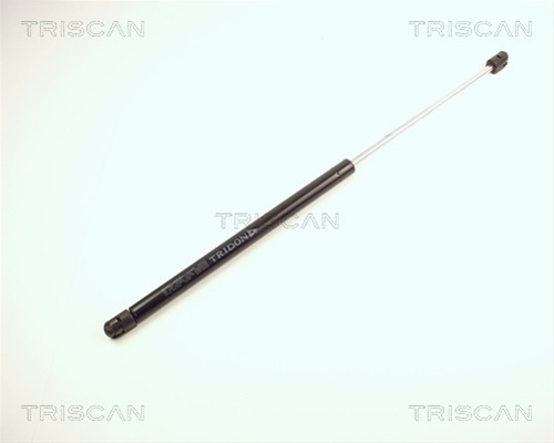 Amortizor Capota Triscan Renault 8710 25100