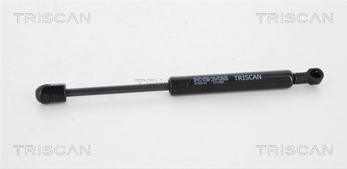 Amortizor Capota Triscan Renault 8710 25104
