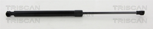 Amortizor Capota Triscan Renault 8710 25111