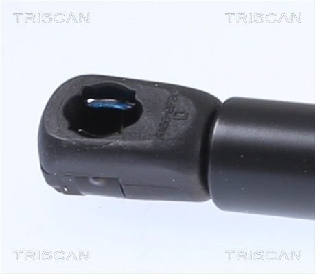 Amortizor Capota Triscan Vw 8710 29153