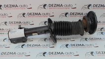 Amortizor dreapta fata, GM13178175, Opel Vectra C ...