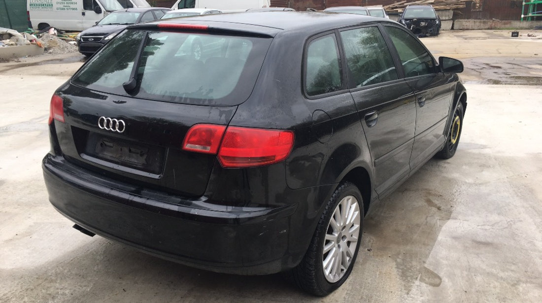 Amortizor dreapta spate Audi A3 8P 1.9 TDI an fab. 2003 - 2010