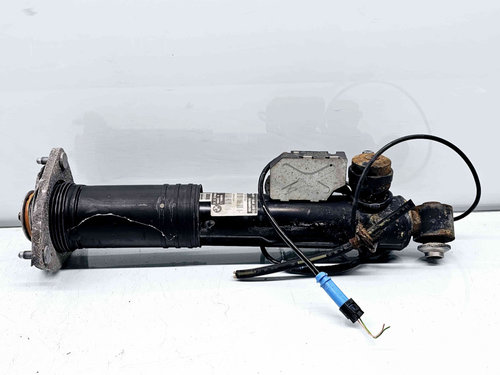 Amortizor dreapta spate Bmw X6 (E71, E72) [Fabr 2007-2014] 6794550 3.0 M57 210KW / 286CP 3.0 M57 210...