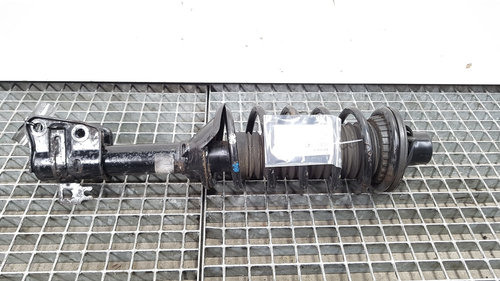 Amortizor dreapta spate Land Rover Freelander (LN) [Fabr 1998-2006] (id:409735)