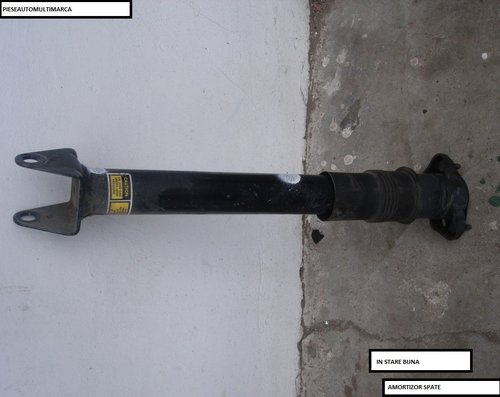 Amortizor dreapta Spate Mercedes GL,ML W164