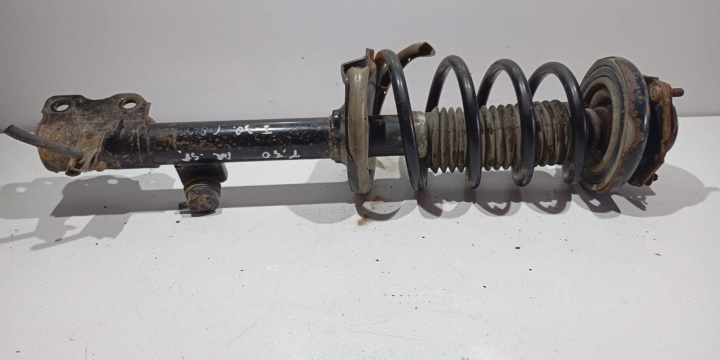 Amortizor dreapta spate Nissan X-Trail T30 [2001 - 2004]