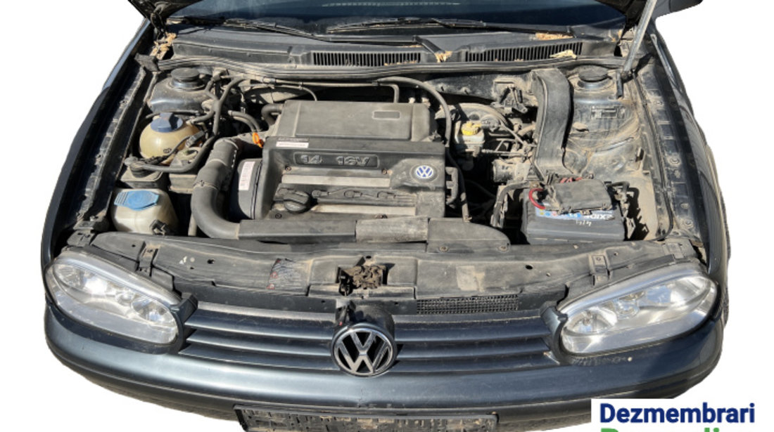 Amortizor fata dreapta Volkswagen VW Golf 4 [1997 - 2006] Hatchback 5-usi 1.4 MT (75 hp)