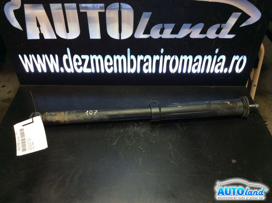 Amortizor Fata telescop Peugeot 107 2005