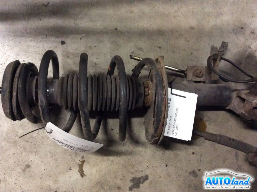 Amortizor Fata telescop Stanga Peugeot 307 CC 3B 2003
