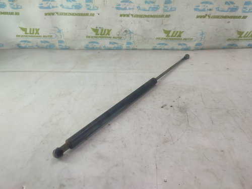 Amortizor haion 2.0 d 204D1 BMW Seria 3 E46 [1997 - 2003] 2.0 d 204D1